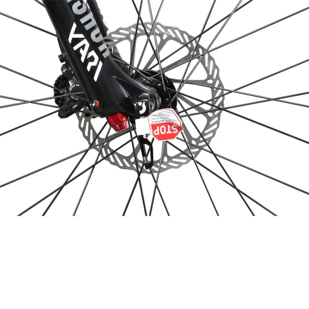 29er Enduro Bike P9