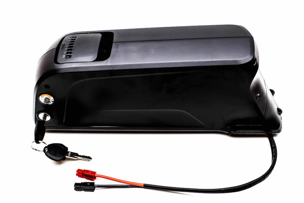 52V 11.6 Ah Dolphin Ebike Battery (2900 18650 Cells)