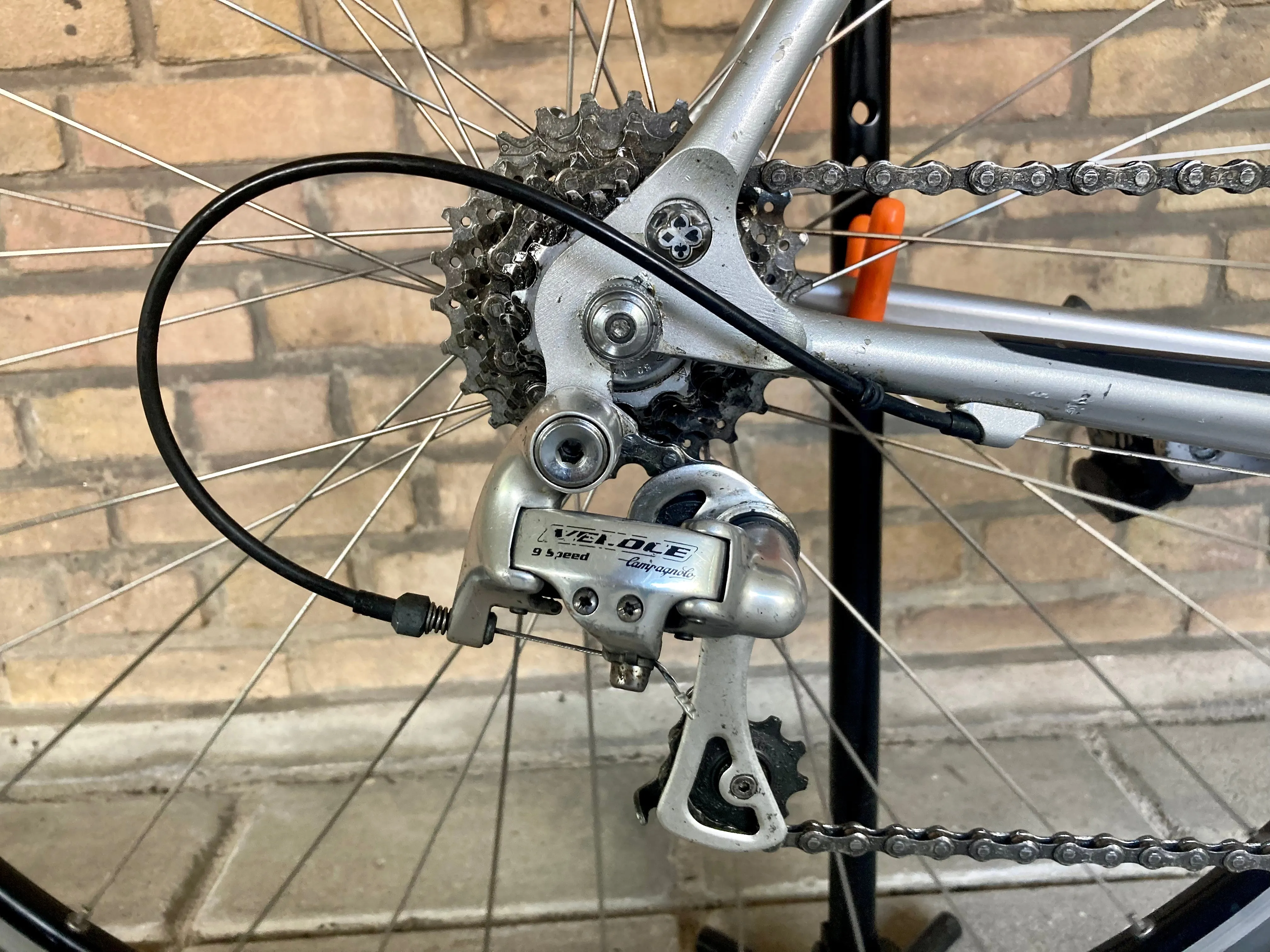 Ciocc Pryde 56cm Campagnolo Veloce