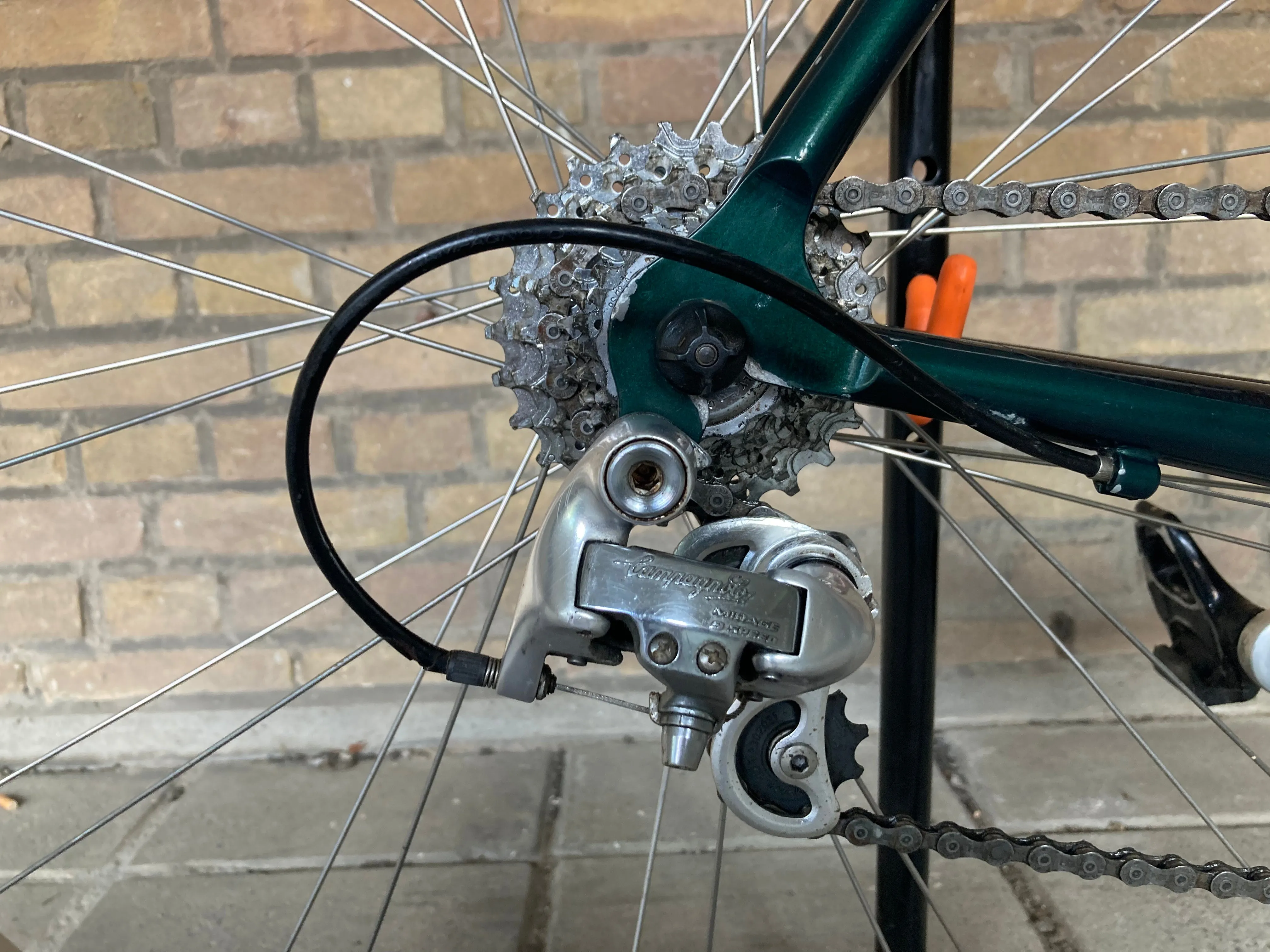 Eddy Merckx Flyer (Palm edition) 56cm Campagnolo