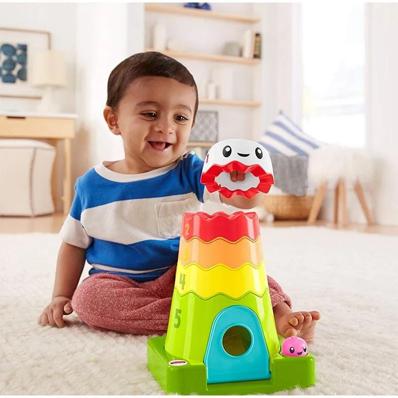 Fisher Price Stack and Slide Mountain