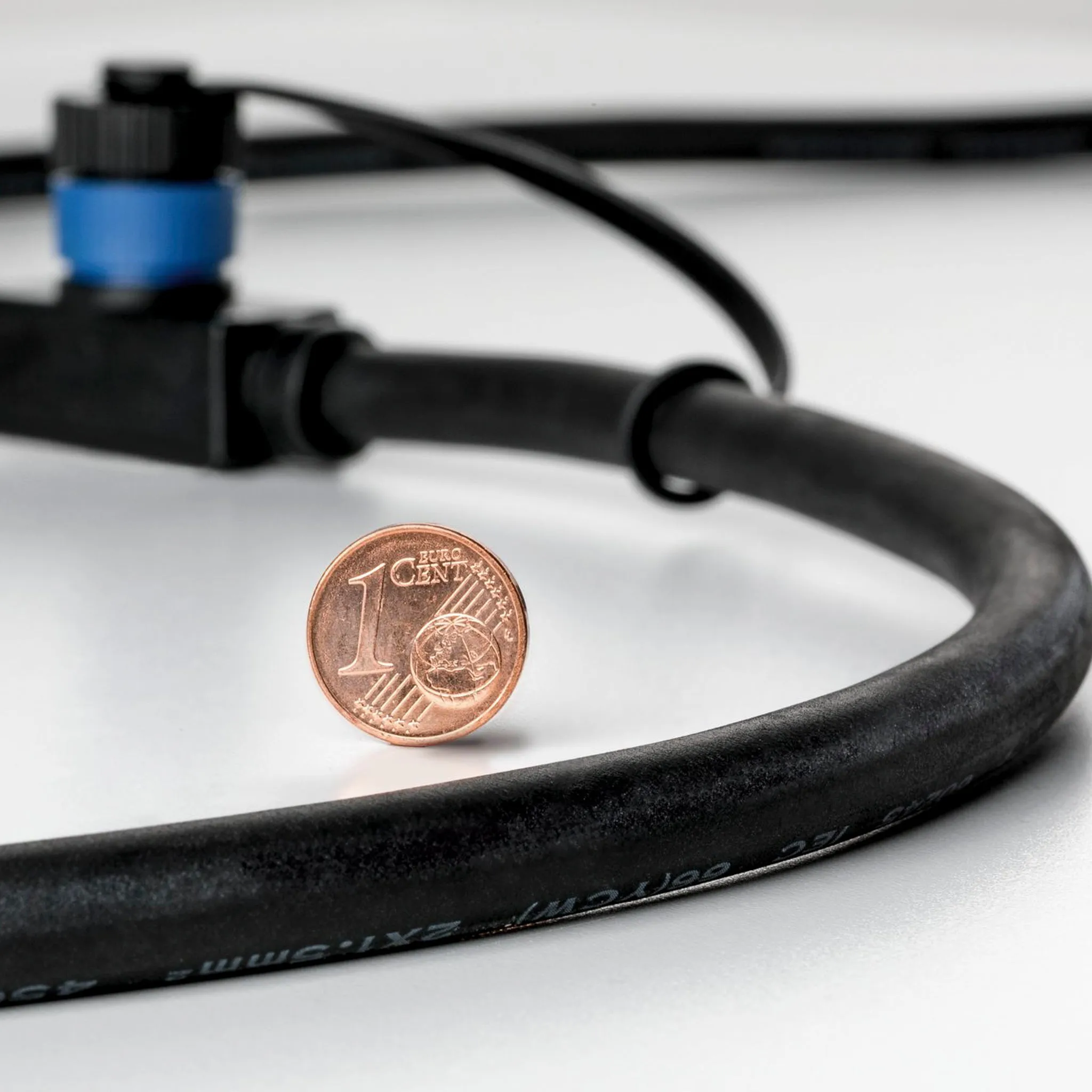 Plug & Shine Outdoor 10m Cables with 2 Outputs in Black