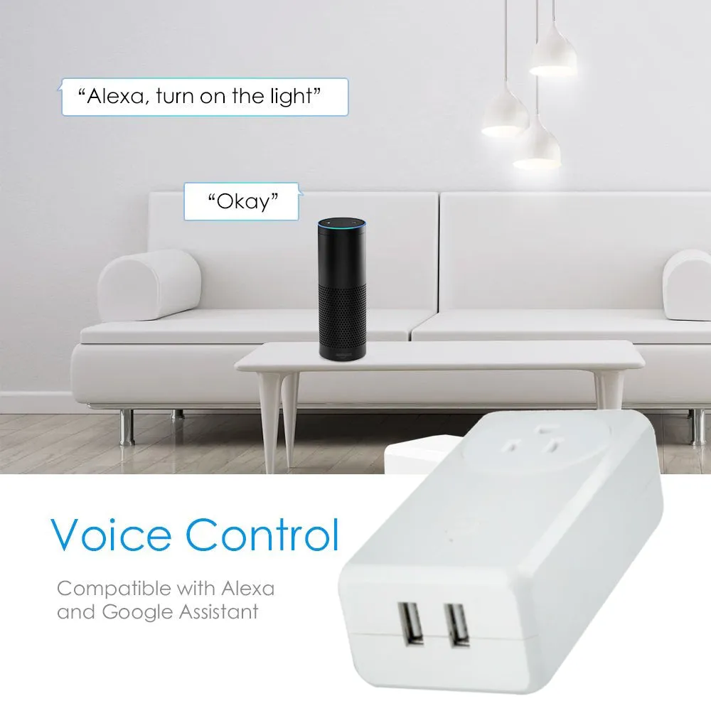 SP200 Smart Plug with 2 fast charging USB (Works with Home & Alexa)